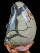 Septarian Dragon Egg Geode - Black Crystals #71991-3